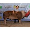 Image 1 : Tessa Baum - Market Swine