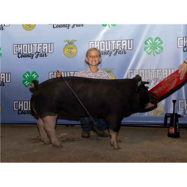 Oakley Jacobi - Market Swine