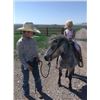 Image 2 : Pepper - 2018 Pony Grey Gelding