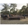 Image 2 : Victor - 2011 Friesian X Black Gelding