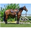 Image 2 : EZ Gemstone - 2018 AQHA #5905280 Dun Gelding