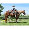 Image 1 : Ruby - 2017 Pony Sorrel Mare