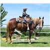 Image 3 : Ruby - 2017 Pony Sorrel Mare