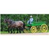 Image 2 : Morgan - 2009 Percheron x QH Bay Roan Gelding