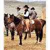 Image 1 : OUT OF SALE DUE TO INJURY Reba - 2018 QH Bay Mare