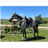 Image 1 : Betz - 2015 Percheron x Standardbred Dapple Grey Mare