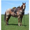 Image 2 : Turbo - 2009 QH Red Roan Gelding