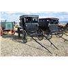 Image 2 : Single seat buggy