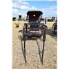 Image 2 : Doctor's buggy