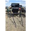 Image 1 : Single Buggy