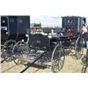 Image 2 : 2015 Pioneer Buggy