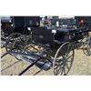 Image 3 : 2015 Pioneer Buggy
