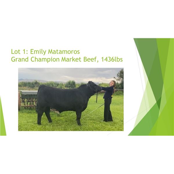 Emily Matamoros, FFA - Grand Champion Beef - Weight: 1350