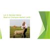 Image 1 : Kenndyl Meine - Reserve Champion Lamb - Weight: 144