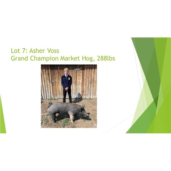 Asher Voss, FFA - Grand Champion Hog - Weight: 285