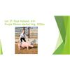 Image 1 : Faye Holland - Purple Ribbon Market Hog / Weight: 225