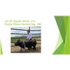 Image 1 : Baylee White - Purple Ribbon Market Hog / Weight: 280