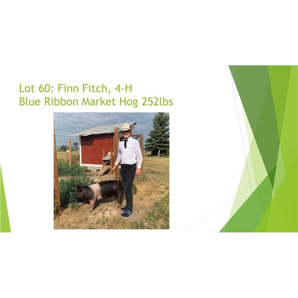 Finn Fitch - Blue Ribbon Market Hog / Weight: 252