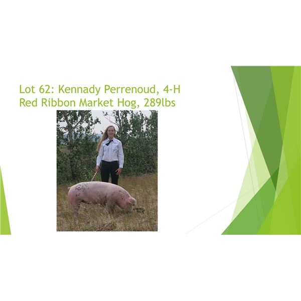 Kennady Perrenoud - Red Ribbon Market Hog / Weight: 285