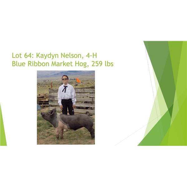 Kaydyn Nelson - Blue Ribbon Market Hog / Weight: 259