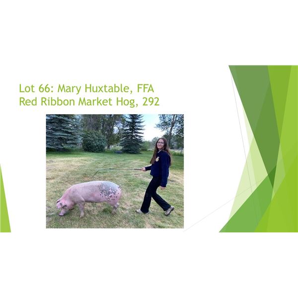 Mary Huxtable, FFA - Red Ribbon Market Hog / Weight: 285