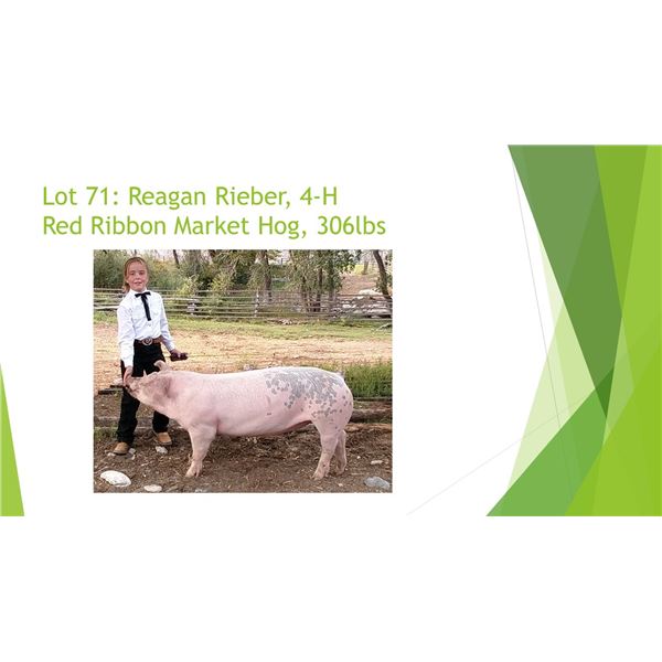 Reagan Rieber - Red Ribbon Market Hog / Weight: 285