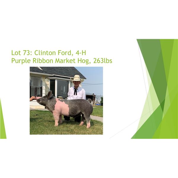 Clinton Ford - Purple Ribbon Market Hog / Weight: 263