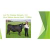 Image 1 : Chelsey Kiewatt - Blue Ribbon Market Beef / Weight: 1208