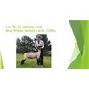 Image 1 : Elias Johnson - Blue Ribbon Market Lamb / Weight: 129