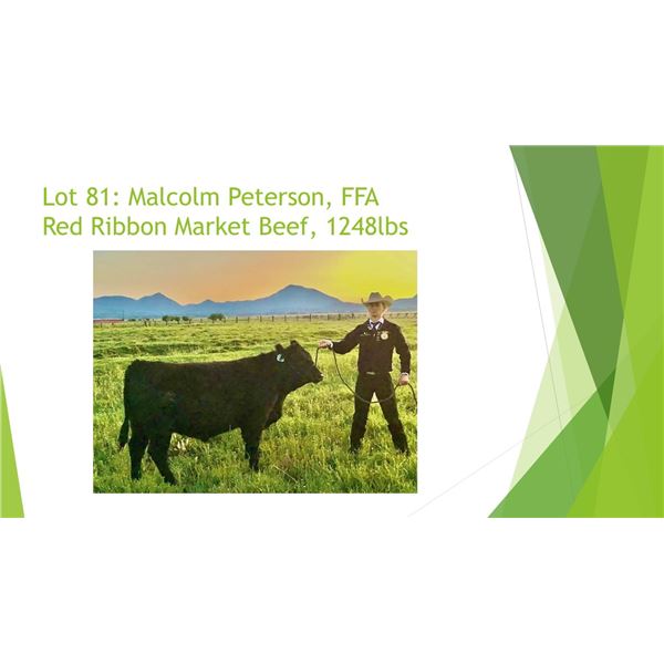 Malcolm Peterson, FFA - Red Ribbon Market Beef / Weight: 1248