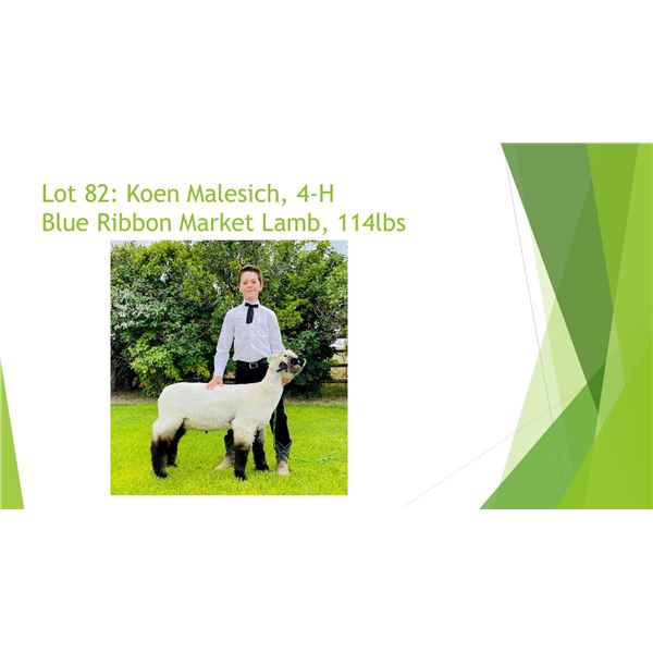 Koen Malesich - Blue Ribbon Market Lamb / Weight: 114
