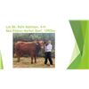 Image 1 : Rafe Mattison - Red Ribbon Market Beef / Weight: 1090