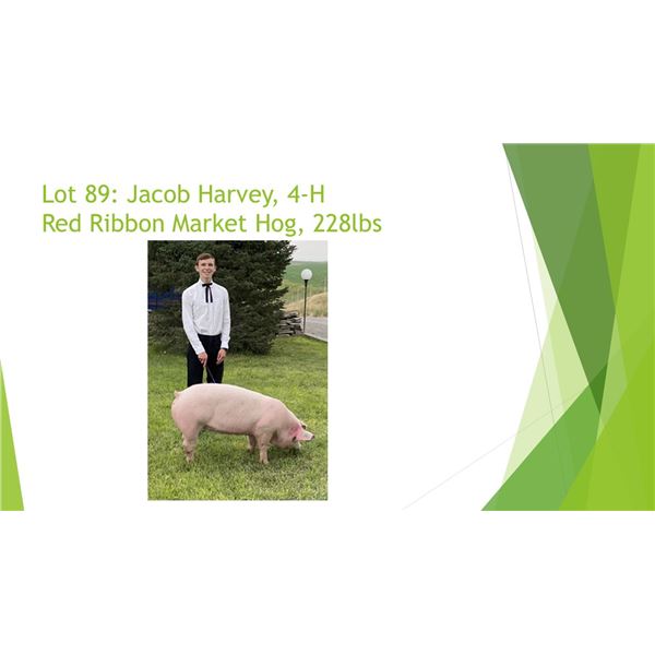 Jacob Harvey - Red Ribbon Market Hog / Weight: 228