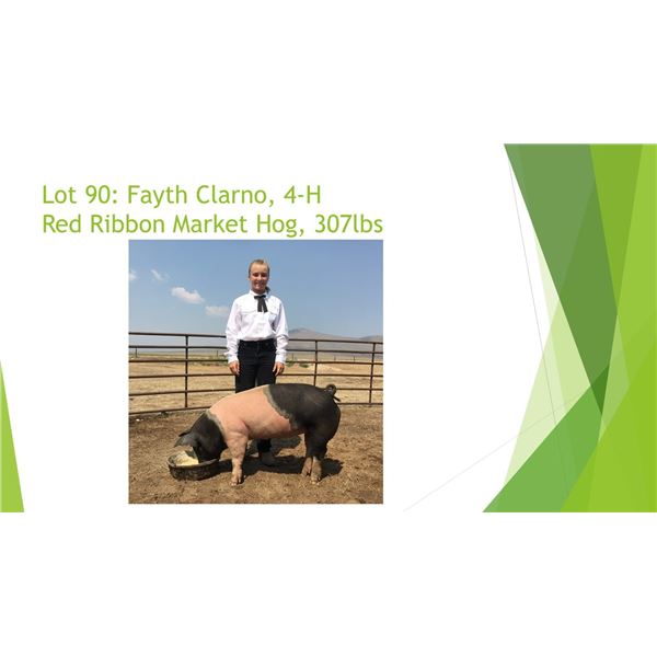 Fayth Clarno - Red Ribbon Market Hog / Weight: 285