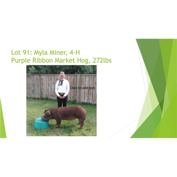Myla Miner - Purple Ribbon Market Hog / Weight: 272