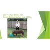 Image 1 : Myla Miner - Purple Ribbon Market Hog / Weight: 272
