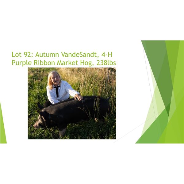 Autumn VandeSandt - Purple Ribbon Market Hog / Weight: 238