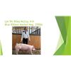 Image 1 : Riley McCoy - Blue Ribbon Market Hog / Weight: 259