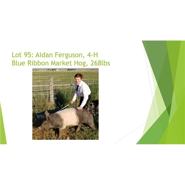 Aidan Fergeson - Blue Ribbon Market Hog / Weight: 268