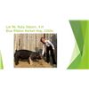 Image 1 : Ruby Osburn - Blue Ribbon Market Hog / Weight: 226