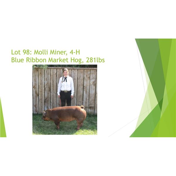 Molli Miner - Blue Ribbon Market Hog / Weight: 281