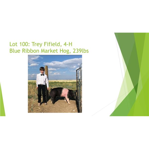 Trey Fifield  - Blue Ribbon Market Hog / Weight: 239