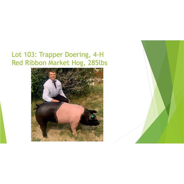 Trapper Doering - Red Ribbon Market Hog / Weight: 285