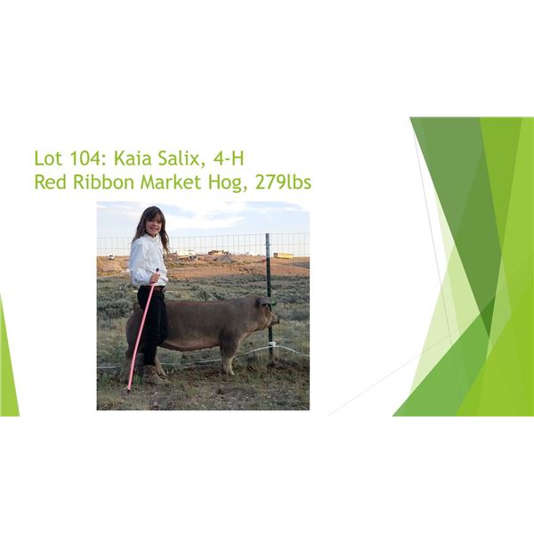 Kaia Salix - Red Ribbon Market Hog / Weight: 279