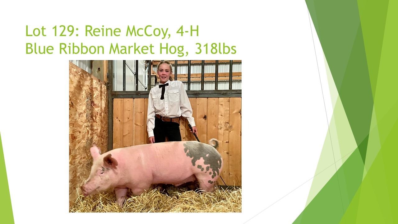 Blue Riddon Roid Hog Reine McCoy - Blue Ribbon Market Hog / Weight: 285