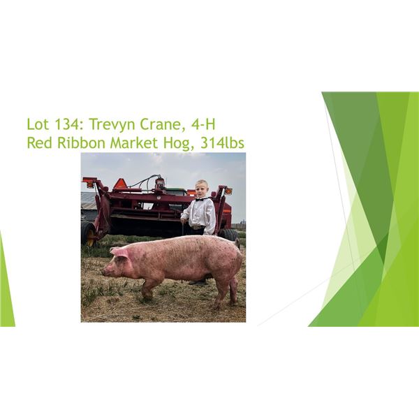 Trevyn Crane - Red Ribbon Market Hog / Weight: 285