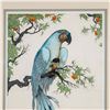 Image 6 : Framed Dan Mitra Color Engraving, Blue Parrot, Signed