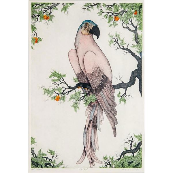 Framed Dan Mitra Etching, Red Parrot, Signed