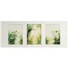 Image 1 : Framed M Murphy Bird Prints, Signed