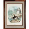 Image 2 : Framed Edouard Travies Lithograph, Snipe